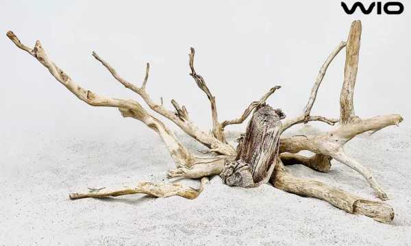 Neptune driftwood without tannins