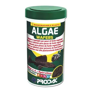 algae wafers
