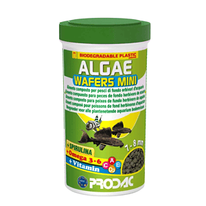 algae wafers mini