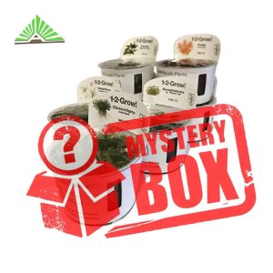 Mystery Box kasvit tropica