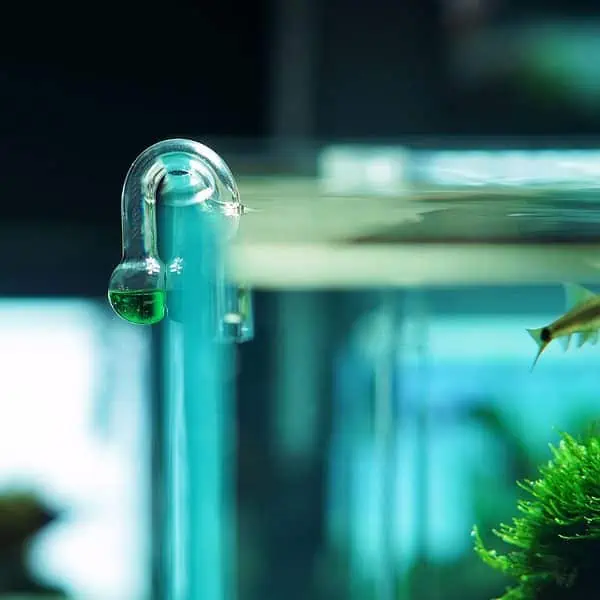 CO2 Drop Checker - hanging akvaarion reunalla